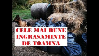 Cele mai bune îngrășăminte de toamnă 100 NATURALE SIGURE EFICIENTEThe best autumn fertilizers [upl. by Con]