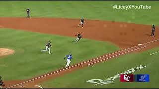 Gigantes del Cibao Vs Tigres del Licey  RESUMEN [upl. by Daigle]