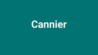 Cannier Meaning and Pronunciation [upl. by Sivam671]