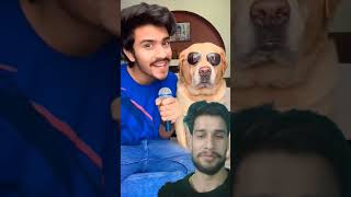 Sab sa aga hoga nimbu pani comedy funny dog doglover shorts [upl. by Herwig555]