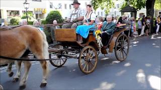 Fest der Jubelpaare in Bad Leonfelden 2011 [upl. by Melborn]