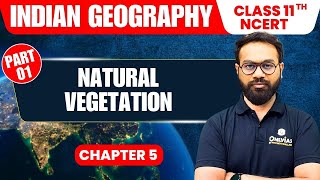 Natural Vegetation  Part 1  Indian Geography  Class 11th NCERT  Chapter 5  UPSC Preparation [upl. by Tarrah935]