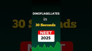 Dinoflagellates Biological Classification Class 11 NEET2025 shorts [upl. by Oirasan]