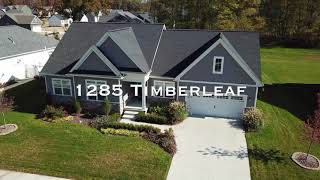 1285 Timberleaf Brighton MI 48114 [upl. by Warga]