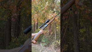 Browning BAR 3006 Hunting Rifle [upl. by Naimaj]