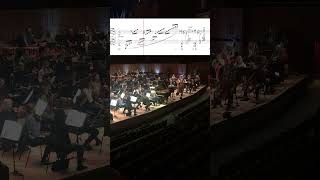 Grieg Piano Concerto – Opening with Leif Ove Andsnes shorts [upl. by Deni]