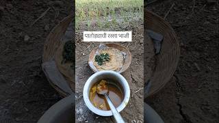 पातोड्याची रस्सा भाजीपातोड्याचीभाजी पाटवडीरस्सा aartiarke recipe viralshort trendingshorts [upl. by Lori]