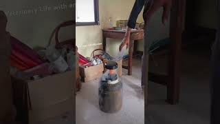 veterinary Liquid Nitrogen Container🫙💨 [upl. by Niela329]