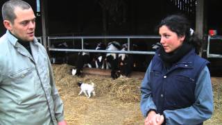 Journée de la femme  le congé maternité dune agricultrice [upl. by Eustazio272]