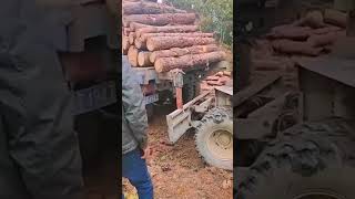 Preparation process before transporting logs [upl. by Esidnak]