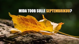 Mida toob sulle septembrikuu kaardilugemine 3 valikuga [upl. by Eelyma]