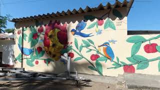 A Sunday trip to La Cruz de Huanacaxtle Mexico Near Puerto Vallarta vaction walkaround [upl. by Yona]