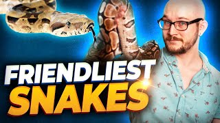 The 5 Friendliest Pet Snakes You Can Own  Meet My New and Rare Snake [upl. by Wilie]