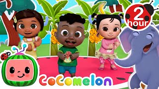 Apples and Bananas Love Fruit Song  CoComelon  Codys Playtime  Songs for Kids amp Nursery Rhymes [upl. by Irpak]