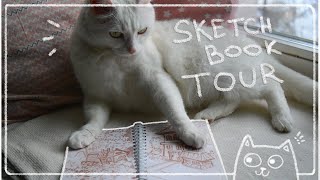 Small blue sketchbook tour 📘 20172020 [upl. by Delly]