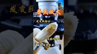 Banana under microscope shoers shortsfeed shortvideoviral chinesfood123 [upl. by Eizzil875]