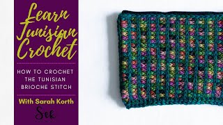 How to Crochet the Tunisian Brioche Stitch [upl. by Hultin]