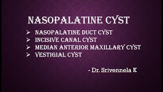 Nasopalatine cyst [upl. by Nessah926]