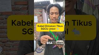 Service SGCU Yamaha Kode Er1 otomotif sgcu [upl. by Nyleve]