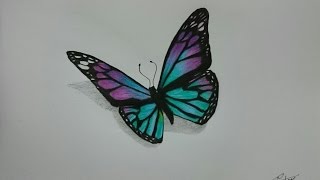 How to Draw a Realistic Butterfly with Colored Pencils [upl. by Ahsito]