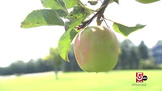 The real Johnny Appleseed A legacy evolved and honored [upl. by Mihe548]