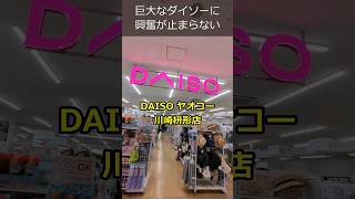 近所にどデカいダイソーが出来て大興奮 DAISO ヤオコー川崎枡形店【100円ショップ】 [upl. by Neillij]