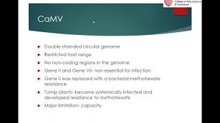 Plant viruses as vectors [upl. by Ehcnalb]