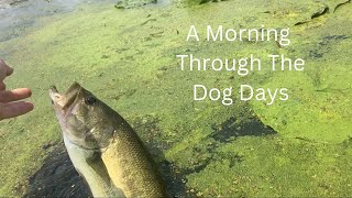 Summer Kayak Fishing a New Lake Topwater [upl. by Nancy]