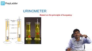 Urine Analysis  Biochemistry practical [upl. by Hanima]