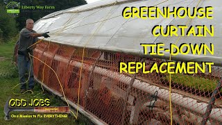 Greenhouse Curtain Tiedown Replacement [upl. by Osgood]