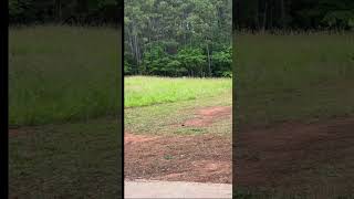 Evan Smith get RAZZED on the Tee Pad at Huk Central discgolf HukCentral [upl. by Zak]