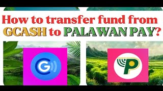 HOW TO TRANSFER FUND FROM GCASH TO PALAWAN PAY [upl. by Ennagroeg638]