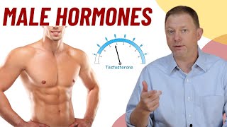 Male Hormones  What do you need to know [upl. by Toft]