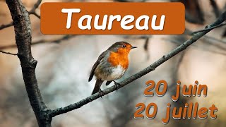 ♉️ TAUREAU 🐂  20 juin au 20 juillet [upl. by Ule368]