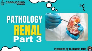 Renal Pathology Part 3 [upl. by Otreblaug]