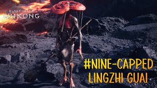 NineCapped Lingzhi Guai  How To Get NineCapped Lingzhi Spirit and Seed [upl. by Ahsata]