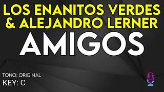 Los Enanitos Verdes amp Alejandro Lerner  Amigos  Karaoke Instrumental [upl. by Aerb]