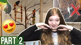 Reacting to My Subscribers’ Bird Cages  Pt 2 [upl. by Yerhcaz]