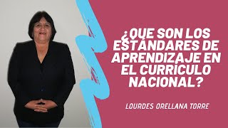 ¿Que son los estándares de aprendizaje en el Currículo Nacional [upl. by Hammel89]