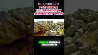 PART 2 Master the Formation of Sedimentary Rocks sedimentaryrocks [upl. by Ahtnamas]