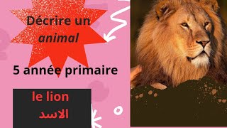 Comment ecrire une production ecrite corectedécrire un animal وصف حيوان،سنة خامسة ابتدائي le lion [upl. by Ingalls486]