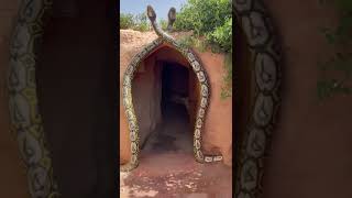 Snakes City 🐍 Gaint snakes alive 😳 🇲🇦 Mirajvlogs220 [upl. by Ymiaj]