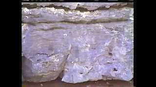 Stromatolites in the Cambrian Bonneterre Formation of Missouri [upl. by Hathcock997]