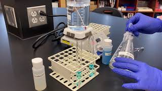 Benedicts Test for Reducing Sugars [upl. by Etteoj]