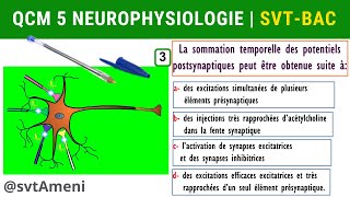 SVT Bac Neurophysiologie Intégration nerveuse  QCM 5 [upl. by Annayek]