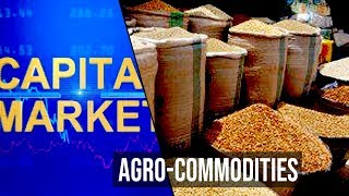 Outlook On AgroCommodities Trading [upl. by Ailla444]