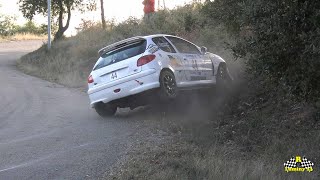 Rallye de Haute Provence 2024 Best of Day 1 [upl. by Rekoob]