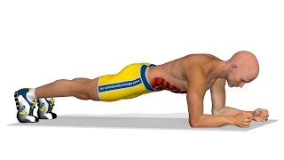 Exercitii abdomen Plank [upl. by Drogin]