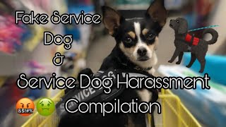 Service Dog Harassment COMPILATION Part 2 [upl. by Nicodemus]