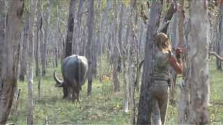 Spear Hunting Water Buffalo in Australia Part 1 [upl. by Enisamoht]